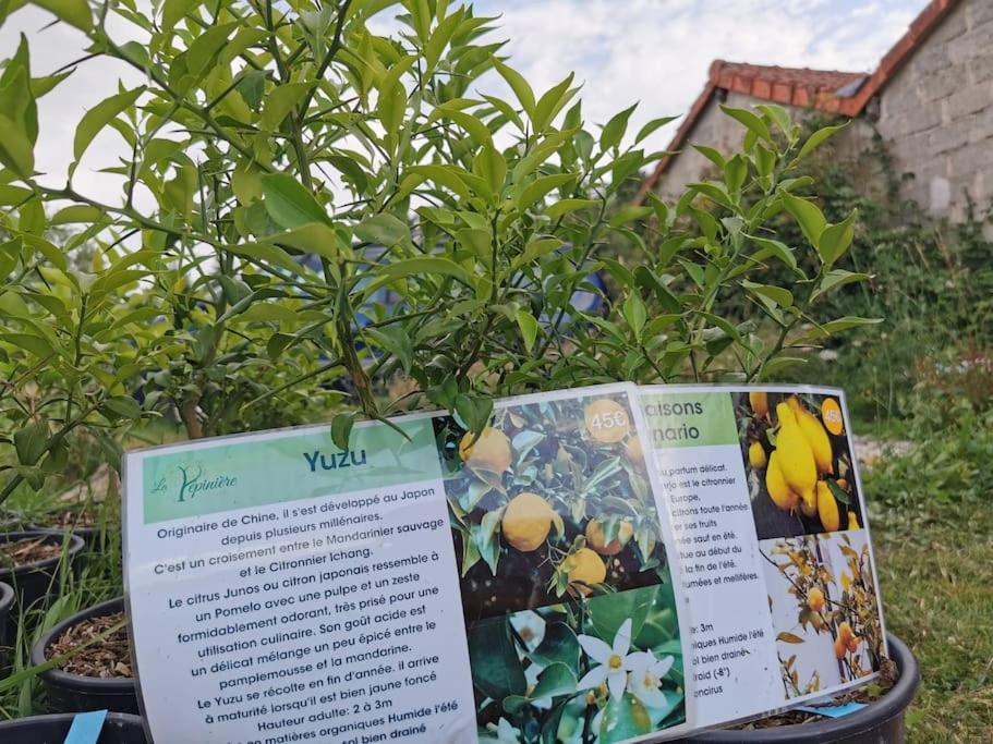 La Grange De Pierrot Villa Saint-Bazile Dış mekan fotoğraf