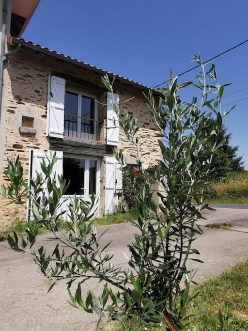 La Grange De Pierrot Villa Saint-Bazile Dış mekan fotoğraf